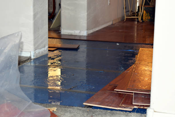 Professional Burst Pipe Cleanup technician working in Iron City, TN